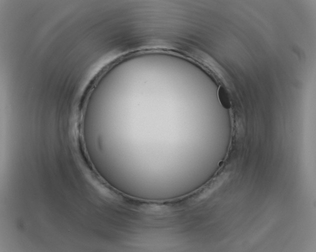 X0000114151124200910081107