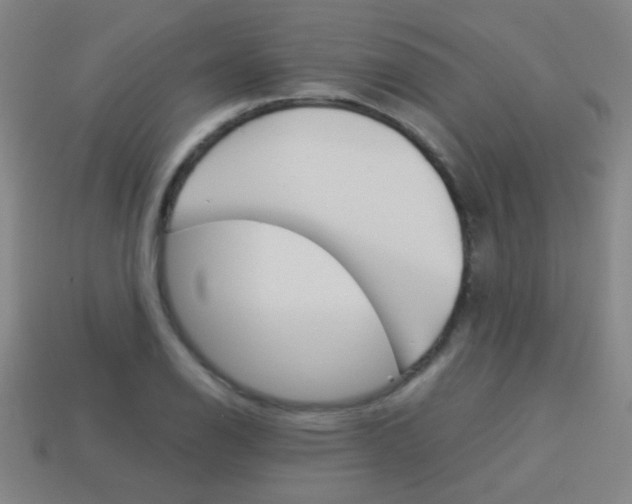 X0000114151126200910081107