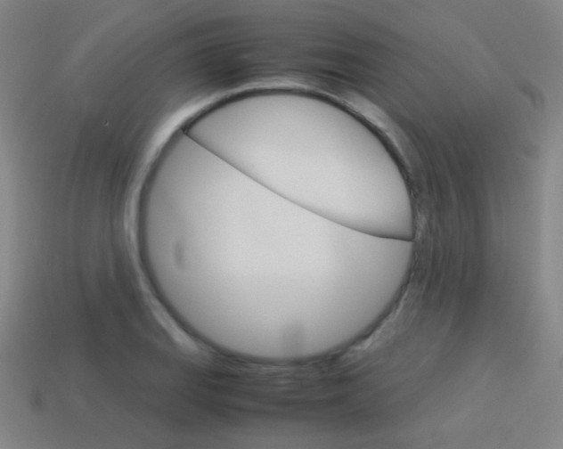X0000114151127200910081107