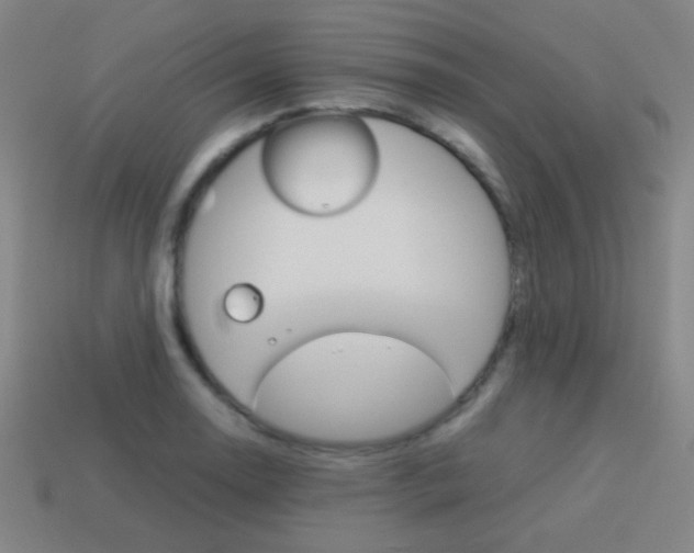 X0000114151130200910081107