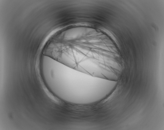 X0000114151131200910081107