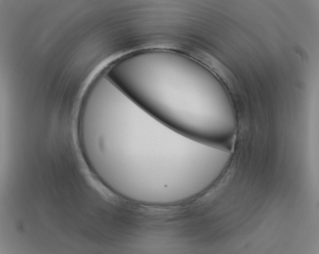 X0000114151132200910081107