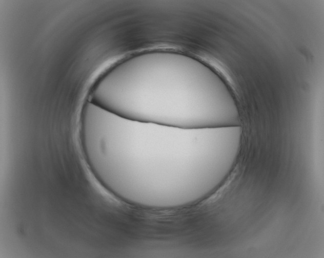 X0000114151135200910081107