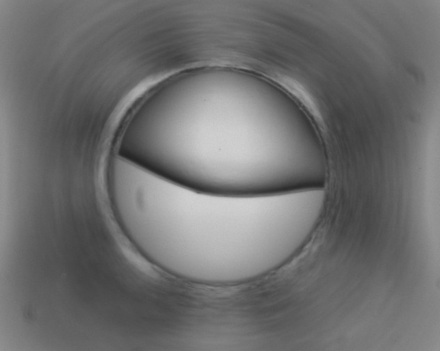 X0000114151136200910081107