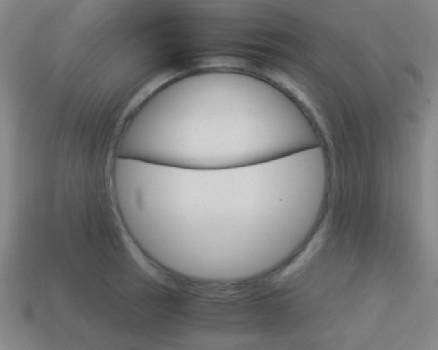 X0000114151137200910081107