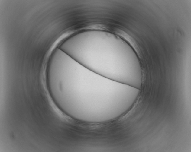 X0000114151139200910081107