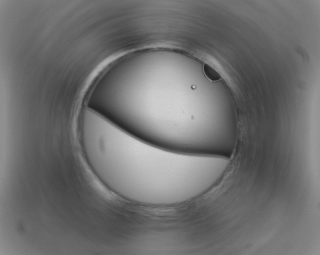 X0000114151140200910081107