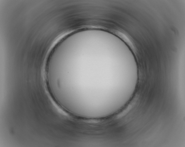 X0000114151141200910081107