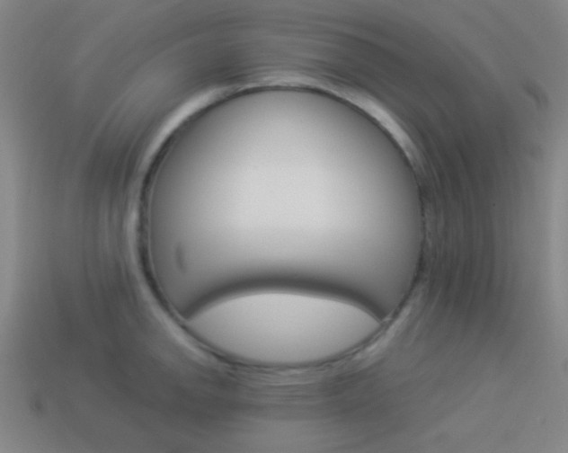 X0000114151142200910081107