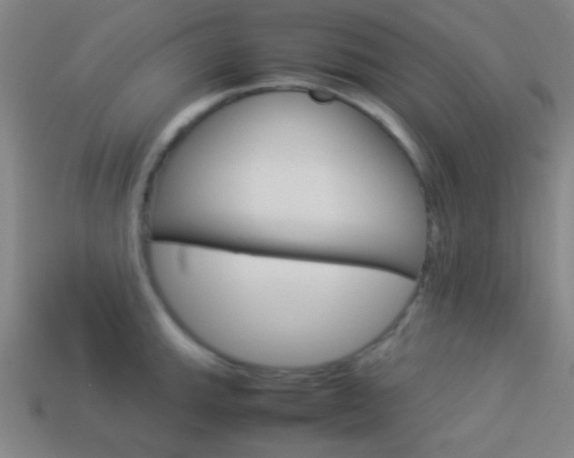 X0000114151143200910081107