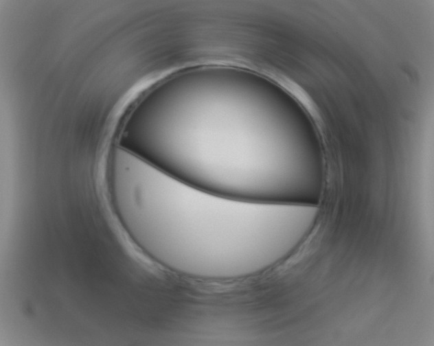 X0000114151144200910081107