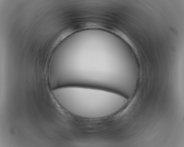 X0000114151145200910081107