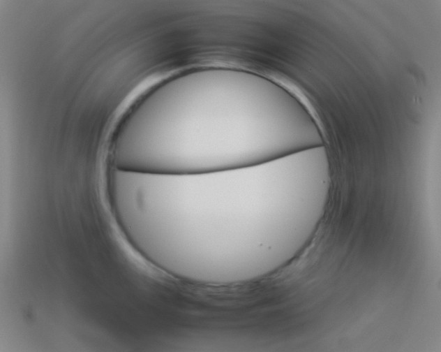 X0000114151147200910081107