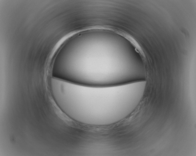 X0000114151148200910081107