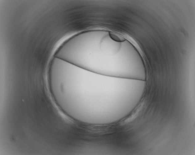 X0000114151149200910081107