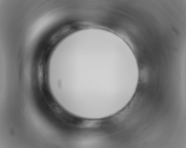X0000114151150200910081107