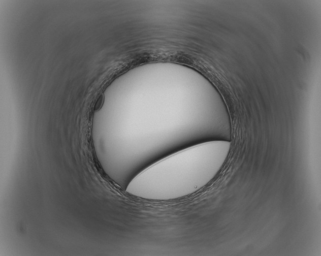 X0000114151153200910081107