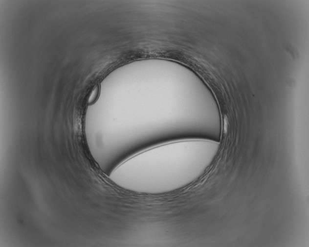 X0000114151155200910081107