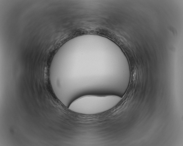 X0000114151156200910081107