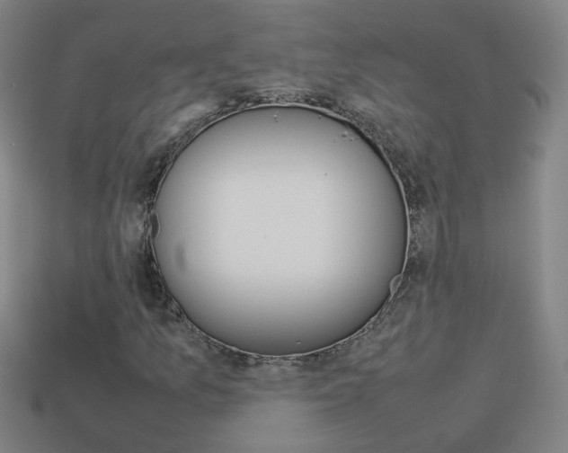 X0000114151157200910081107