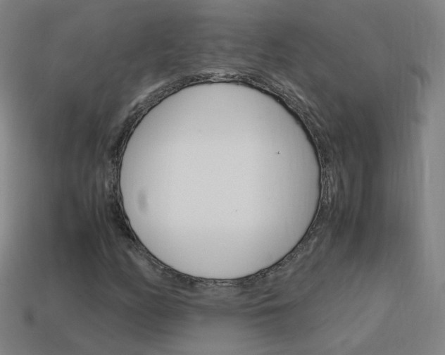 X0000114151158200910081106