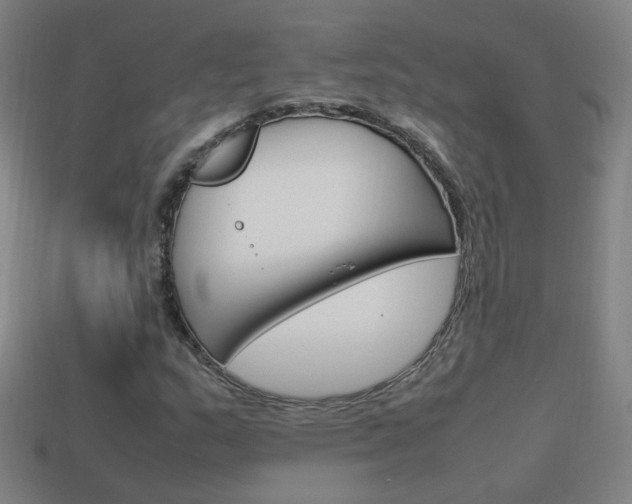 X0000114151159200910081106