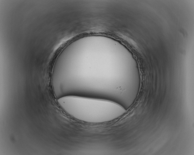 X0000114151160200910081106
