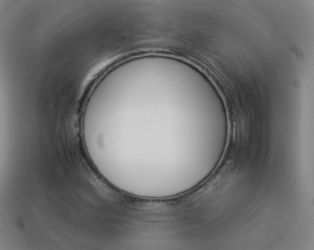 X0000114151164200910081106