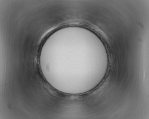 X0000114151166200910081106
