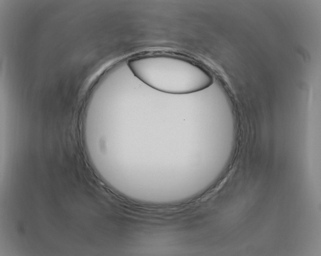 X0000114151167200910081106