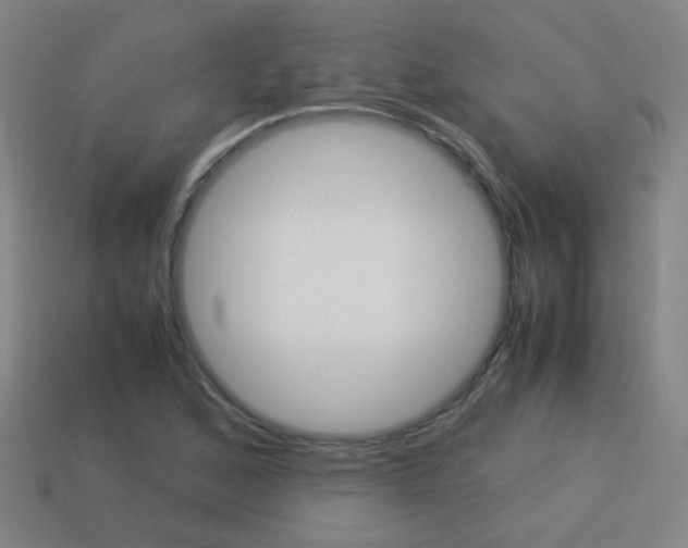 X0000114151168200910081106