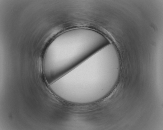 X0000114151171200910081106
