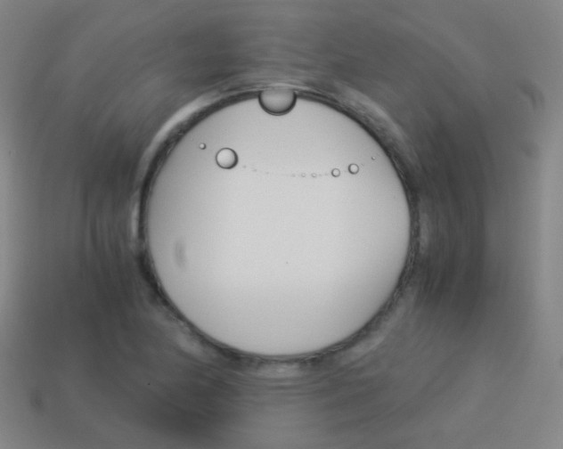 X0000114151174200910081106