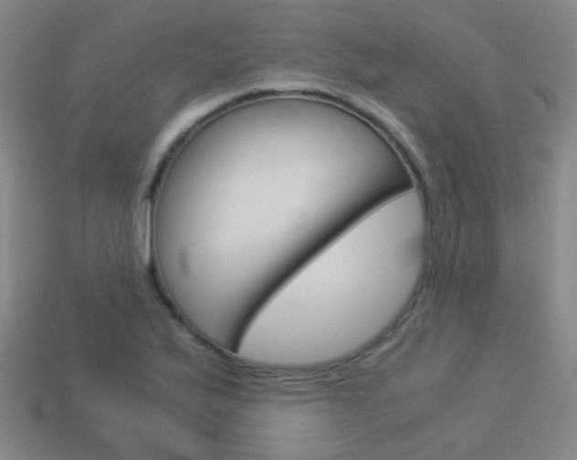 X0000114151175200910081106