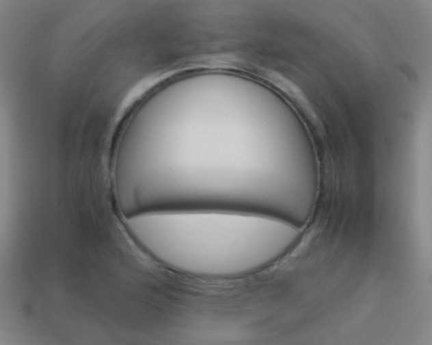 X0000114151176200910081106