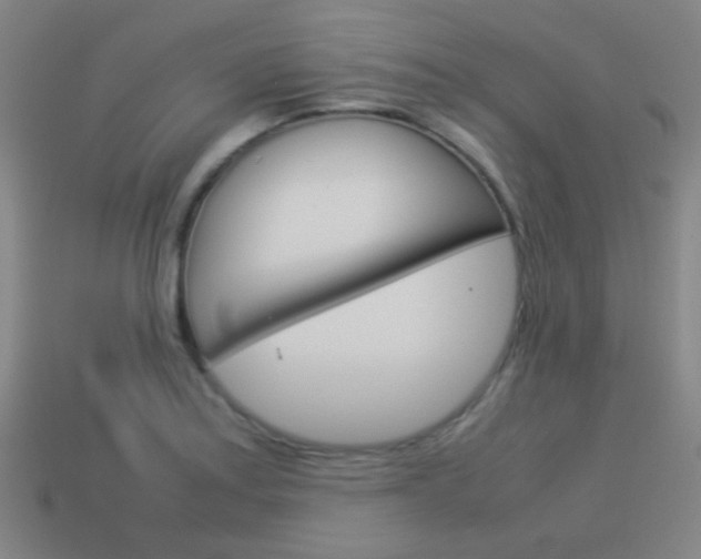 X0000114151179200910081106