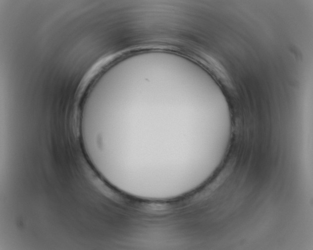 X0000114151180200910081106