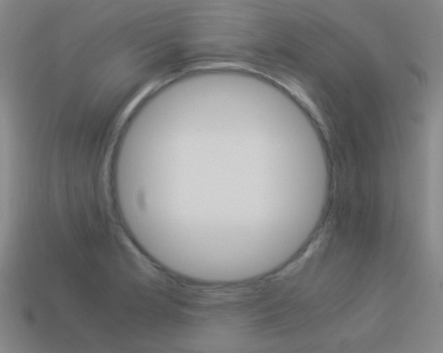X0000114151181200910081106