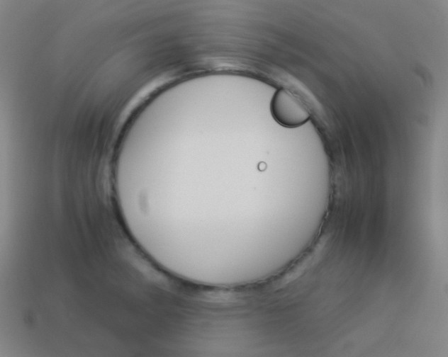 X0000114151182200910081106