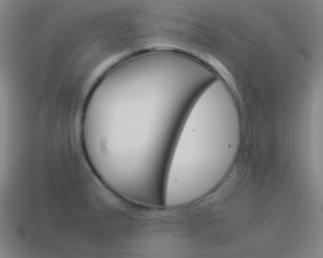X0000114151183200910081106