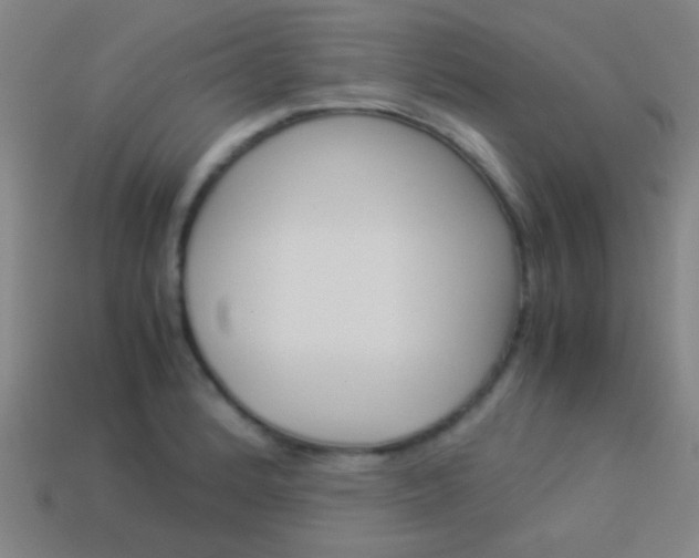X0000114151184200910081106