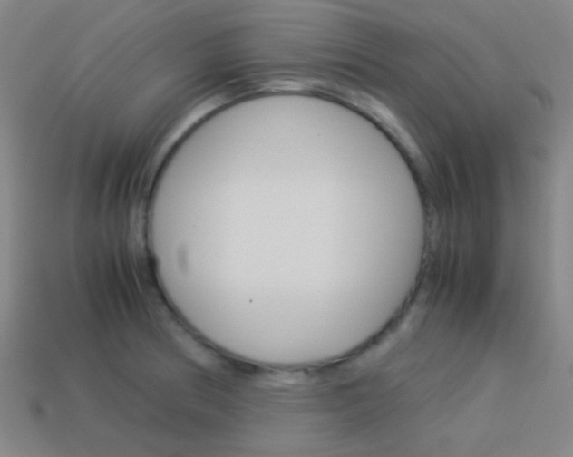 X0000114151186200910081106