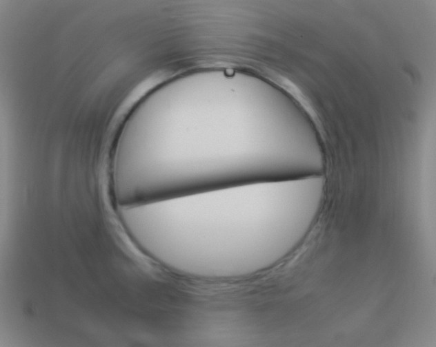 X0000114151187200910081106