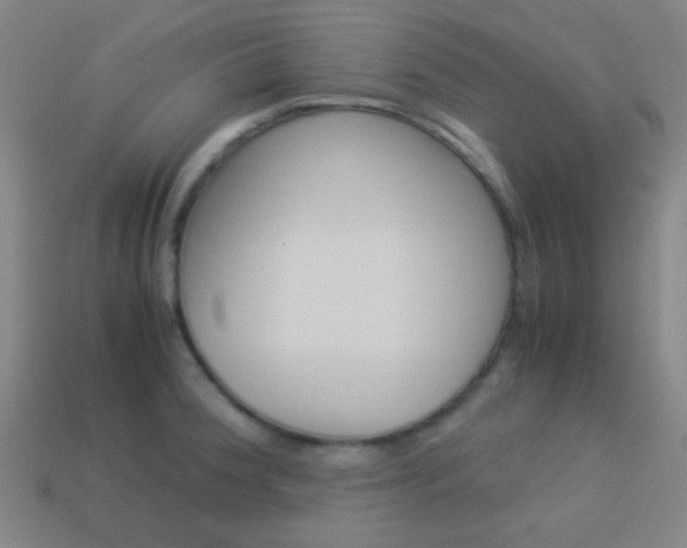 X0000114151188200910081106