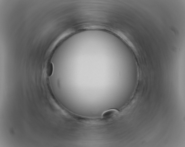 X0000114151189200910081106