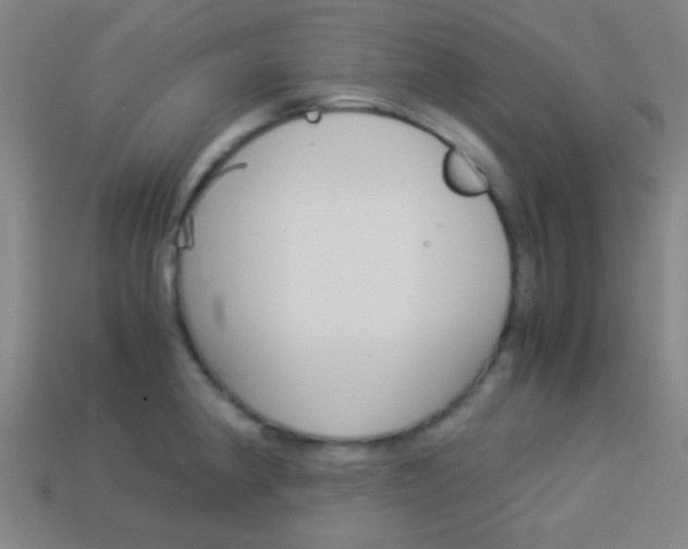 X0000114151190200910081106