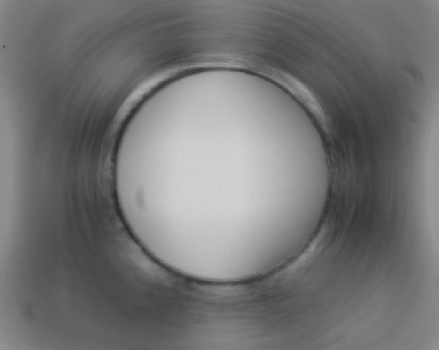 X0000114151192200910081106