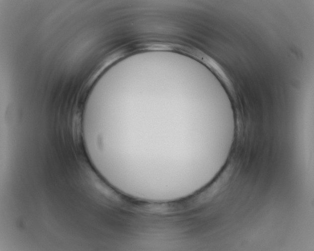 X0000114151194200910081106