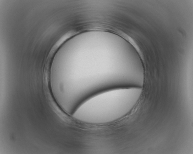 X0000114151195200910081106