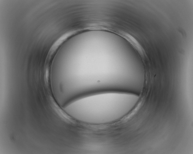 X0000114151196200910081106